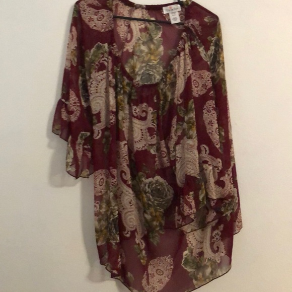 Blouse- sheer - Picture 4 of 4